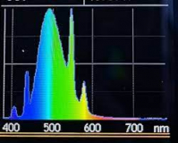 Preview: T5 Great Barrier Turquoise 54W